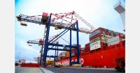 Cape Town port prepares for 13% increase in deciduous fruit exports