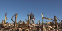 USDA issues drought disaster designation for parts of Louisiana, Mississippi