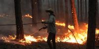 Ahead of COP31, 146 Scientists Urge UN to Declare Climate Change a Global Health Emergency