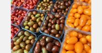 Germany introduces fines of up to €200,000 for packaging regulation violations