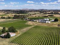CFO at Australian Vintage resigns