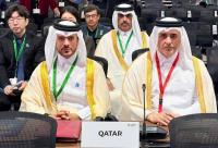 Qatar attends COP17 High-Level Segment in Armenia