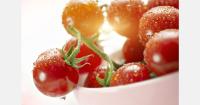 Italian regions stop serving raw cherry tomatoes following Salmonella outbreak