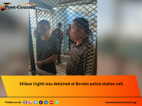 Immigration and police apprehend Chinese national with serious criminal history