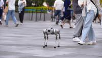 San Francisco startup offered $20 an hour to walk robot dogs for AI training: report