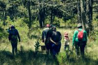 How human ecology education can counter learned social hierarchies — Cont’d