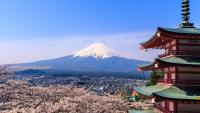Japan's Weak Yen Masks Rising Tourist Fees and Strict Fines