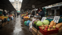 Russia's Potato Yield Drops as Labor Costs and Regional Instability Hit Harvest