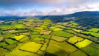 American ‘Trumpugees' fleeing US during Trump presidency buying up homes in Ireland