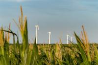COP31: Q&A: ‘We suffer the consequences more, then pay more to finance the response’