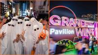 Hong Kong steps up cross-boundary transport measures for Halloween weekend