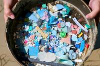 Researchers find plastic fibers can worsen viral disease in fish