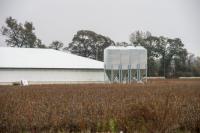 Study finds antibiotic-resistant genes in dust samples from homes near factory farms in Iowa
