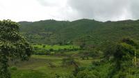 Ethiopian church reports 60 deaths in two Oromia attacks