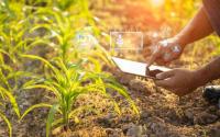 Africa's digital agriculture sector faces funding crunch