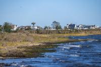 Lighthouse Center Is Wetlands ‘Restoration Hub’ as Scientists, Volunteers Work to Heal Marsh