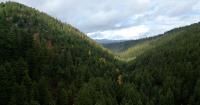 Copper mining company looks to start exploratory drilling near Potomac