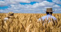 Australian grain holds value despite unsteady market environment overseas
