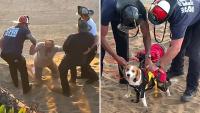 San Francisco firefighters bring in a drone to rescue adults and dogs from 200-foot bluffs