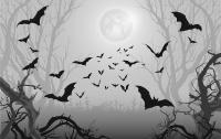 FWP to host family-friendly "Montana Bat Night" in Glasgow Oct. 30