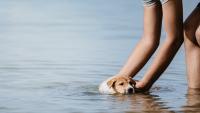 Texas woman fled flooding with her dog and purse — now FEMA has denied rebuilding aid