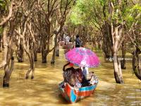 Tourism Stakeholders Under Pressure as Arrivals Fall