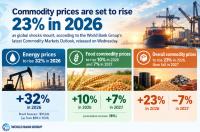 Food prices to rise 10%, energy 32% this year globally, says World Bank