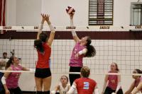No. 5 Damascus Christian volleyball cruises in state opener