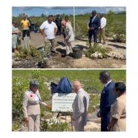 King Charles visits Bonefish Pond, plants tree
