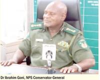Nigeria losing 300 hectares of forest daily —NPS