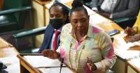 Grange to deliver Seaga lecture on Jamaica’s musical legacy