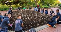 Planting kindness: Warsaw High School’s Help-a-thon brings a day of service to the tri-state area