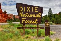 Judge blocks the relocation of the U.S. Forest Service Headquarters to Utah