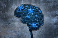 New Resource Said to Help People Protect Brain Health and Reduce Dementia Risk