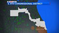 Daniel Biss, John Elleson compete for open Illinois 9th Congressional District seat
