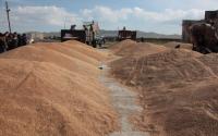 Mongolia Harvests 88% of Autumn Crops