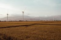 Climate risk planning becomes central to survival for South African farmers