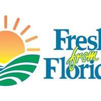 Shopping with the Florida seasons