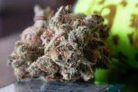 Legal Tender: 93% of cannabis purchases in Missouri occurred in legal market