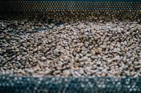 Questions to Ask Before Buying a Used Coffee Roaster