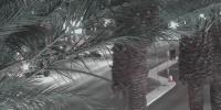 Motorcyclist critically injured in west Las Vegas crash, police say