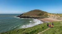 Wales Coast Path stretch closed after cattle prompt safety concerns