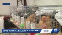 Farmington warehouse converted into temporary animal shelter