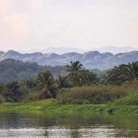 Health professionals urge gov’t to protect water sources from development projects