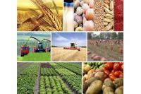Agricultural and agro-industrial exports surpass $1 billion in nine months