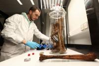 Scientists discover a hidden reason why muscles weaken with age: Study