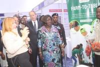 EU-Ghana partnership must drive agribusiness investment