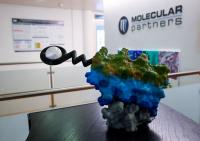 Swiss biotech firm Molecular Partners to cut nearly half of workforce