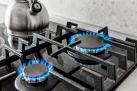 Anthropic Warns AI Data Centers Could Drive Up Natural Gas Prices as Energy Demand Surges