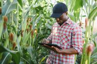 Local evidence in food research partnerships between Africa and Europe
